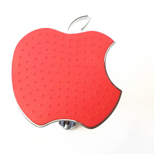 Round Plastic Rainfall Shower Head