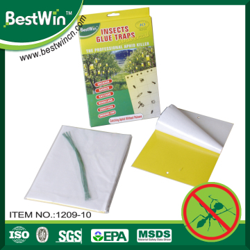 effective insect catcher,professional adhesive insect trap,safe insect glue traps                        
                                                Quality Assured