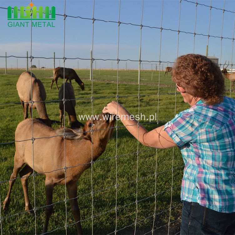 Glavanized PVC Coated Field Fence Farm Fence