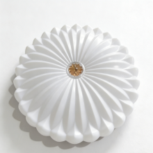 LED ceiling lamp with stable brightness