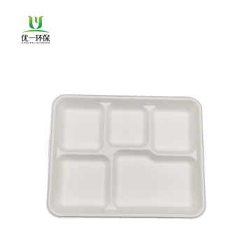 Sugarcane Bagasse 5-Compartment Shallow Lunch Tray