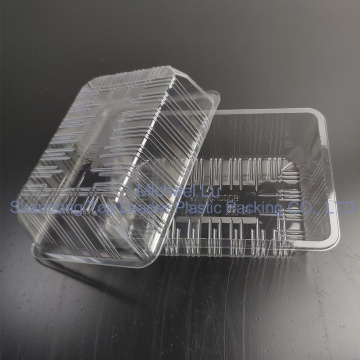 Transparent Pet Takeout Container Boxes Clamshell Food