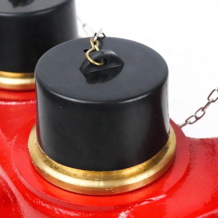 2 Way Breeching Inlet Fire Hydrant Valve