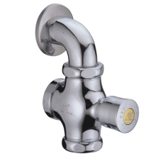 Button Type Toilet Flushometers