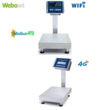 High Precision Digital Scale
