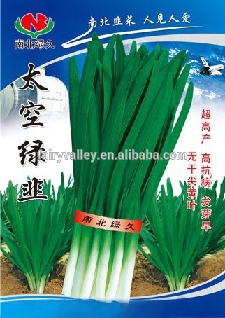 Hot and Cold Resistance Chinese Chives Seeds Leek Seeds For Growing Wider Leaves High Diesease Resistance-Space Green Leek