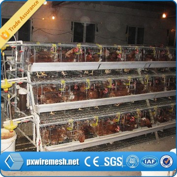 chicken cages for sudan farms
