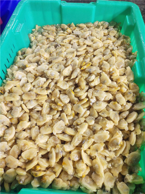 Świeży zamrożony małż gotowany gotowany na krótki czas szyjki