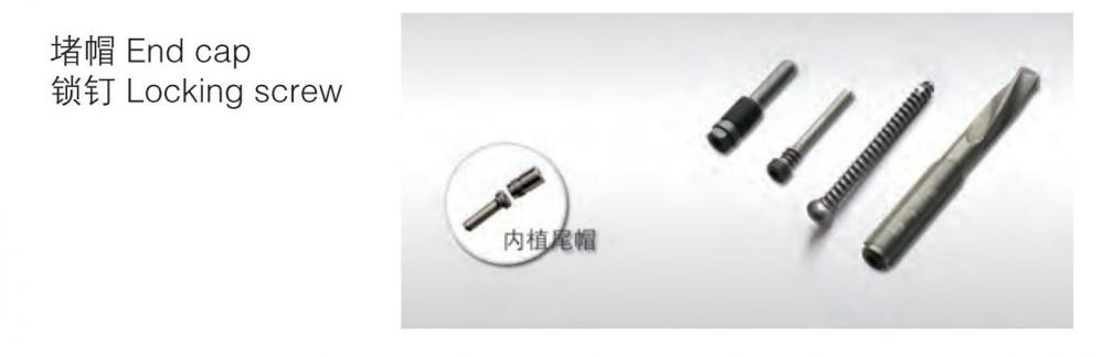 Pfna End Cap And Locking Screw Pfna End Cap And Locking Screw