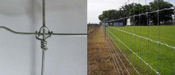 Fixed Knot Fence