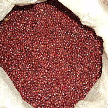 Top Quality Red Kidney Beans