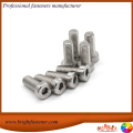 BrightFastEner de alta qualidade DIN 7983 Bolt