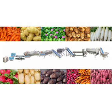 Root Vegetables and Fruits Processing Production Line