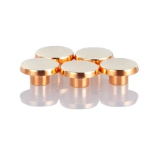 Bimetal and Silver Alloy Electrical Contacts: AgNi Bimetal Rivets