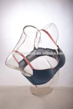 torso bust female mannequins