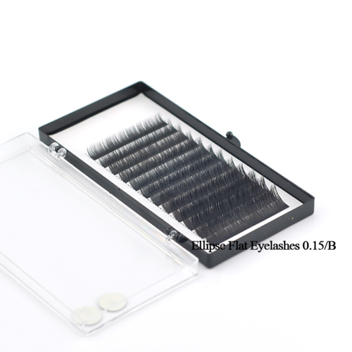 Ellipse Flat Eyelashes Priavte Label