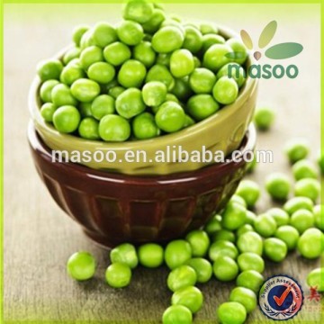 2014 crop green pea, frozen green pea, dry green peas bulk green peas