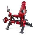 Alternate leg extension machine