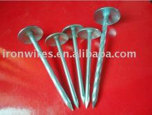 Twist Shank Roofing Nail