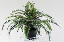 artificial fern, plastic fern bush