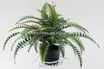 artificial fern, plastic fern bush