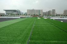 Synthetic Resin Glue Artificial Adhesive for Outdoor Golf A