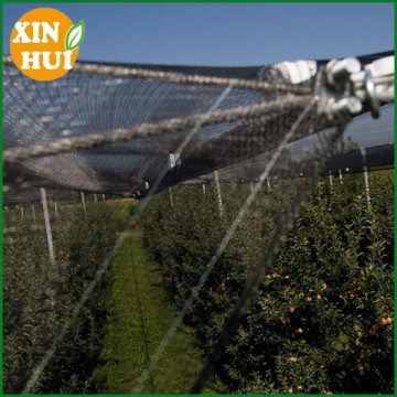 Hdpe agriculture anti hail proof net