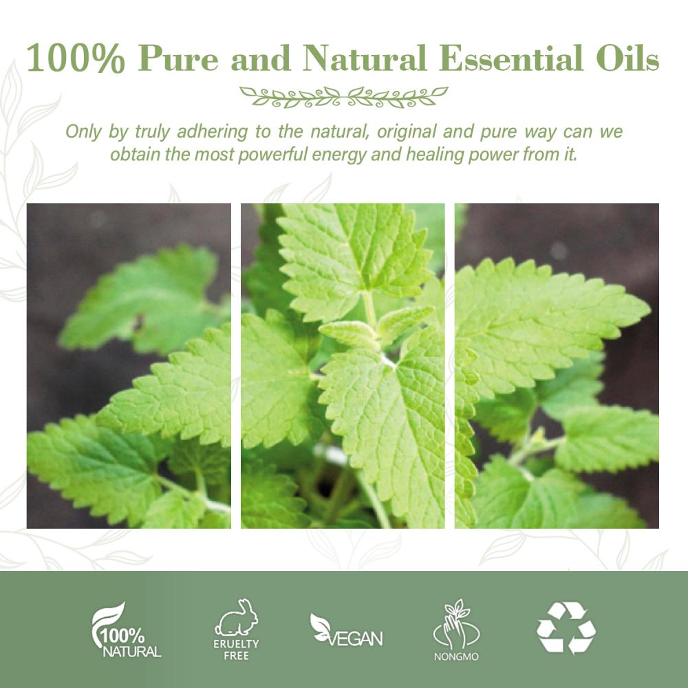 Olio essenziale per catnip per aromaterapia naturale pura per diffusore