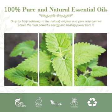 Aceite esencial de hierba gatera de aromaterapia natural pura para difusor