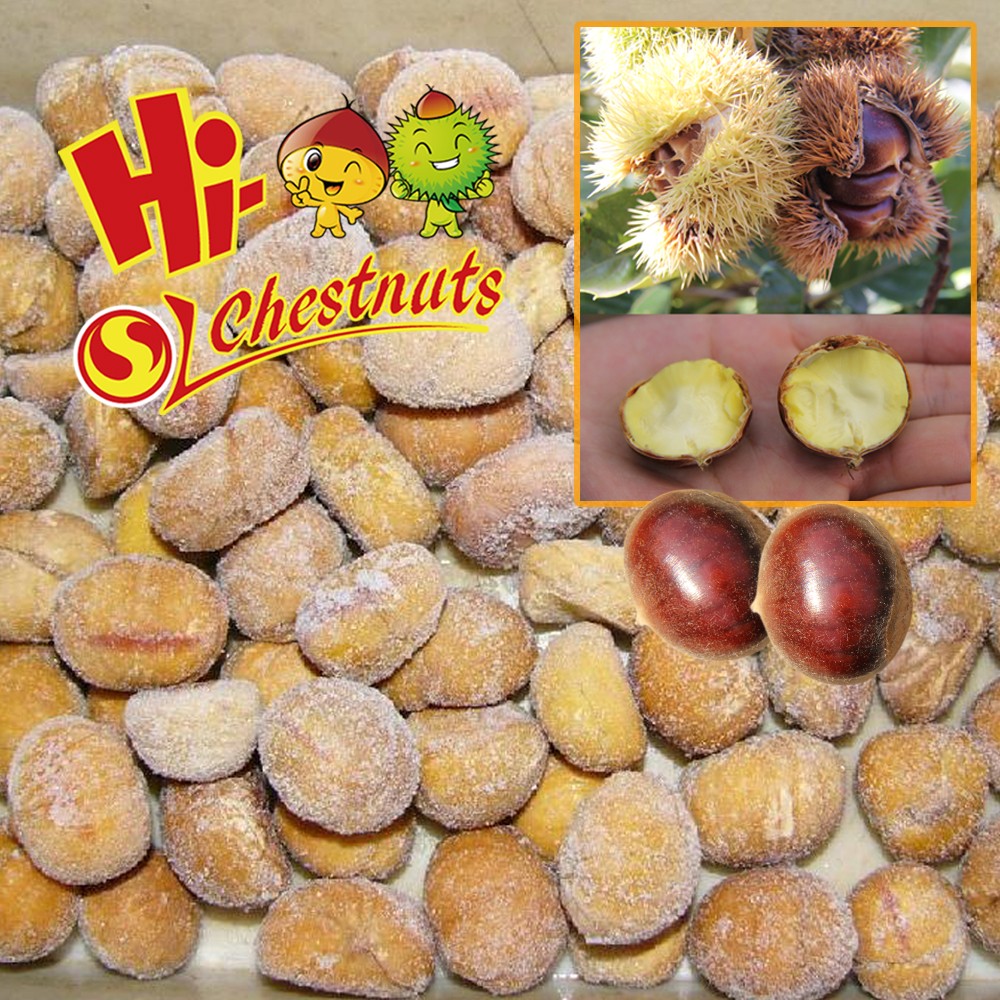 Hot sale best quality frozen chestnuts in china