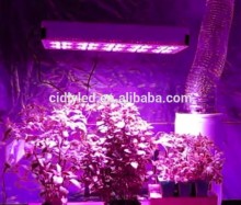APL10 Powerful Full Spectrum Led Grow Lighting indoor hydroponics Grow Lamp grow lighing