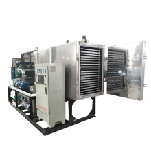 Customized Freeze Dryer for Candy and Fruit by BRAVO Manufacturer