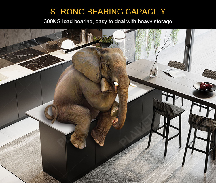 Kitchen Cabinet Details 09