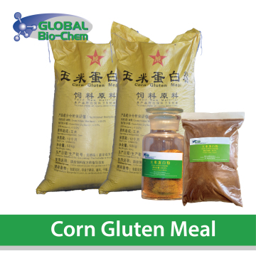 Corn gluten meal animal feed