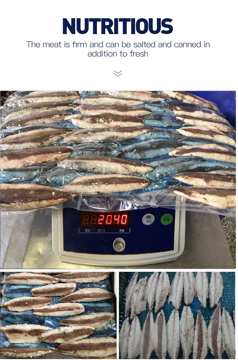 Frozen Precooked Pacific Iaponicus) Fillets, High