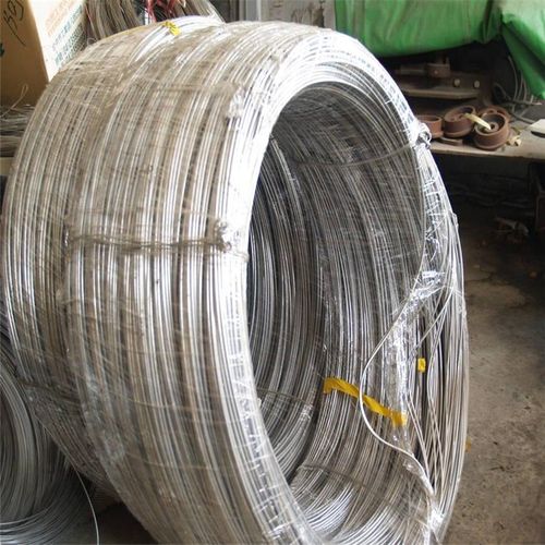 Hot Rolled 304L SS Screw Wire