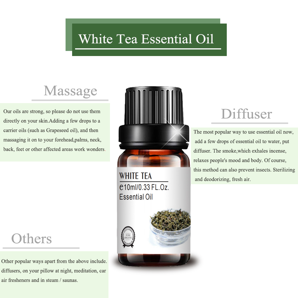 wholesale bulk private label white tea oil