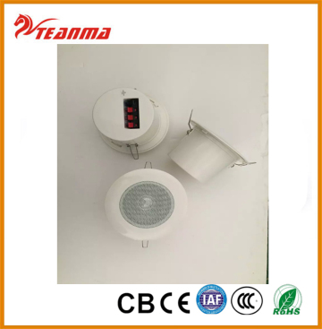 bluetooth speaker manufacturer