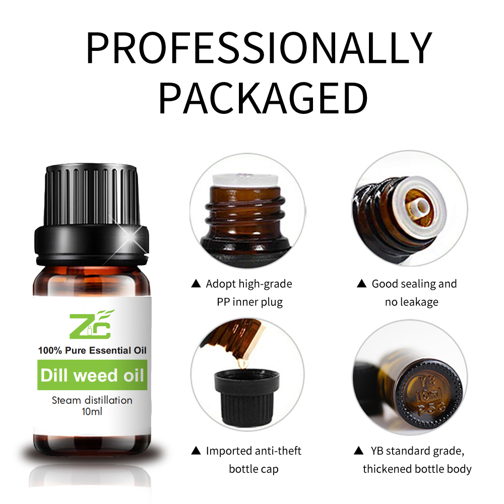 Wholesale Price Dill Weed Oil Organic