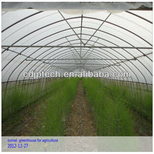 Tunnel Greenhouse for Agriculture