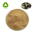 Tree Tree Seed Extract Powder Saponin 30%-98%