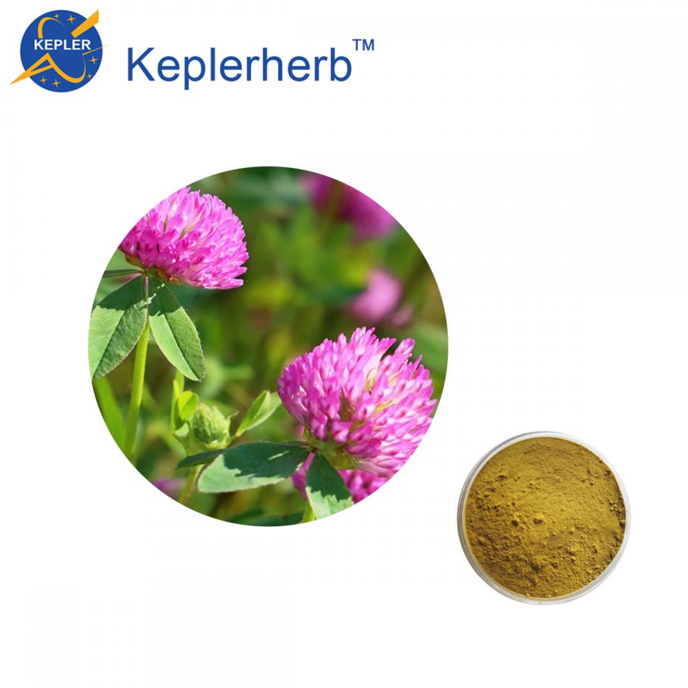 Red Clover Extract1 Jpg