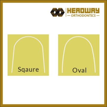 Nitinol Coated Arch Wrie (Round)