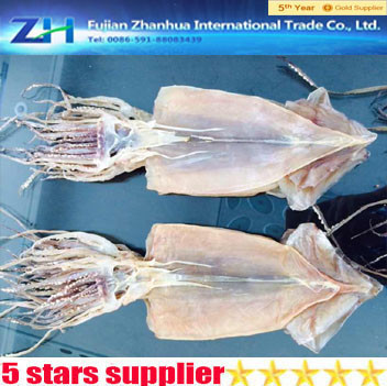 new arrived dried seafood,dried illex squid,frozen cleaned illex squid