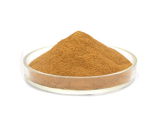 Chinese angelica root extract