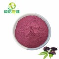 Bột Elderberry đen hữu cơ