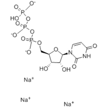 Sel trisodique de l&#39;acide uridine-5&#39;-triphosphorique CAS 19817-92-6