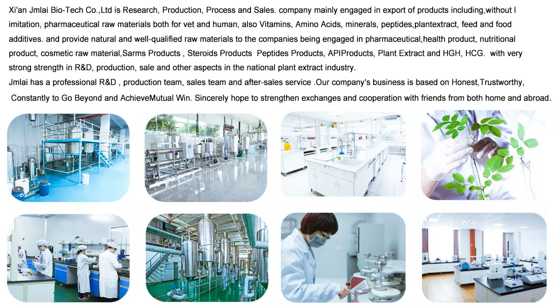 Empresa Company