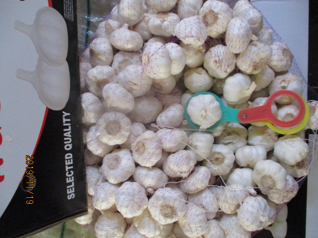 Crop 2019 Pure White Garlic