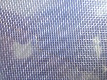 plastic insect netting insect wire mesh plastical insect wire netting